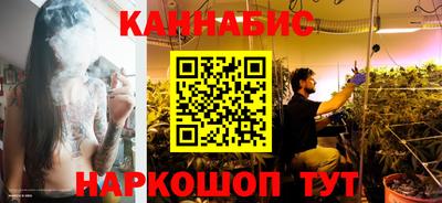гидропоника Бердск