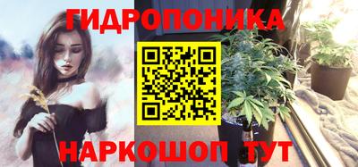 гидропоника Бердск